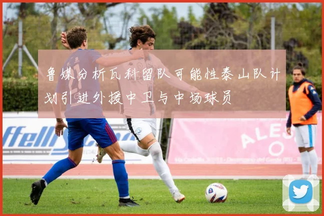 鲁媒分析瓦科留队可能性泰山队计划引进外援中卫与中场球员