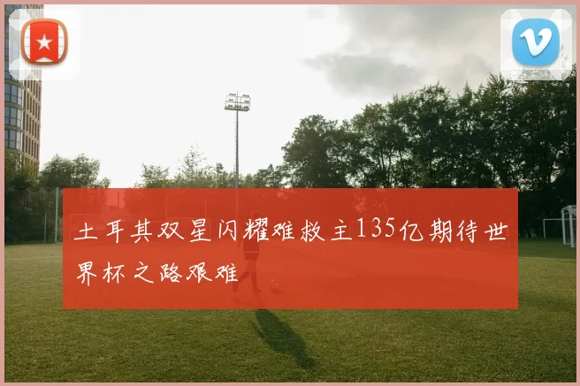 土耳其双星闪耀难救主135亿期待世界杯之路艰难