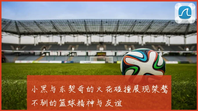 小黑与东契奇的火花碰撞展现桀骜不驯的篮球精神与友谊